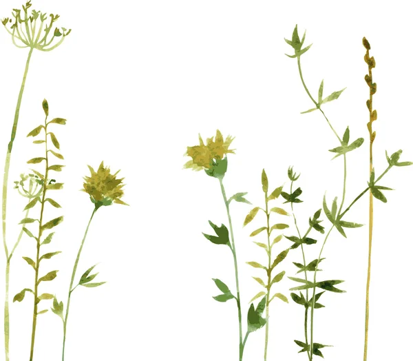 Siluetas de flores y hierba — Archivo Imágenes Vectoriales