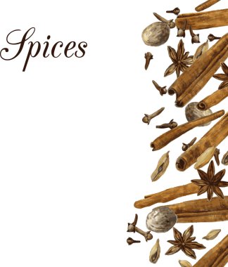 suluboya tarafından çizim baharat