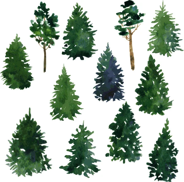 Set of conifer trees — Stock Vector