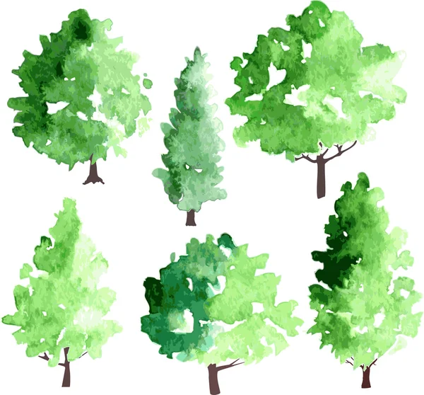 Set of different deciduous trees — Stock Vector