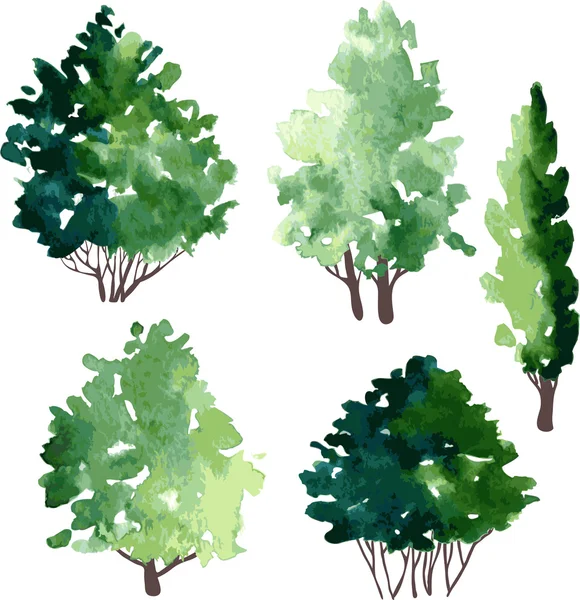 Ensemble de différents arbres à feuilles caduques — Image vectorielle