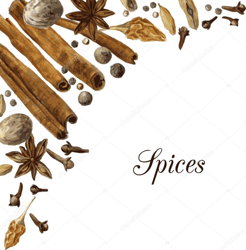 spices drawing by watercolor