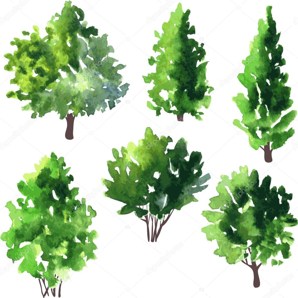 set of different deciduous trees