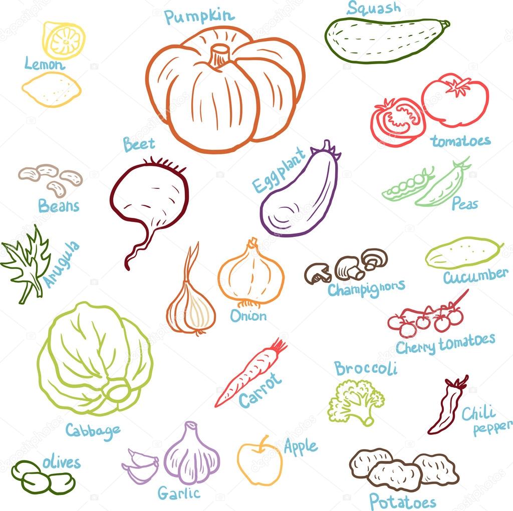 Vector Illustration Of Pumpkin Isolated On White Background Organic  Vegetables And Fruits Cartoon Concepts Education And School Kids Coloring  Page Printable Activity Worksheet Flashcard High-Res Vector Graphic - Getty  Images