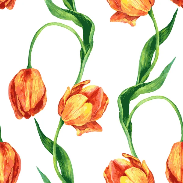 Padrão sem costura com tulipas — Vetor de Stock