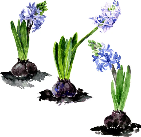 Aquarela desenho flores —  Vetores de Stock