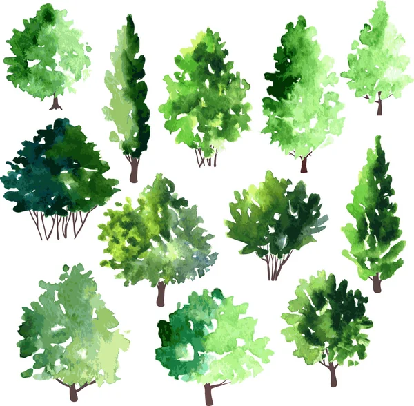 Ensemble de différents arbres à feuilles caduques — Image vectorielle