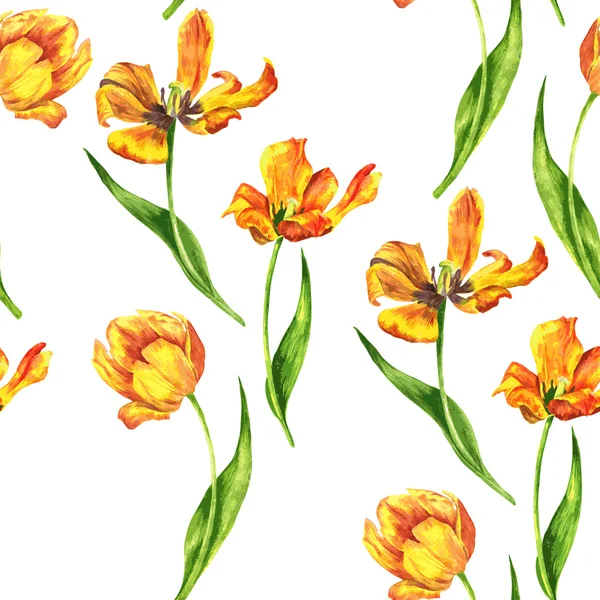 Seamless pattern with tulips — Stock Vector