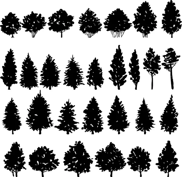 Set of trees silhouettes — Stock Illustration Set of trees silhouettes Royalty Free Stock Vectors