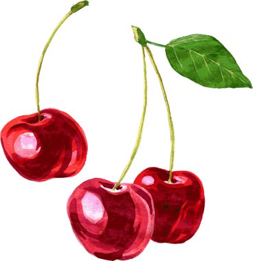 Sulu Boya çizim kiraz