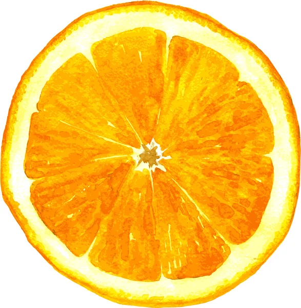 Rebanada de dibujo naranja por acuarela — Vector de stock