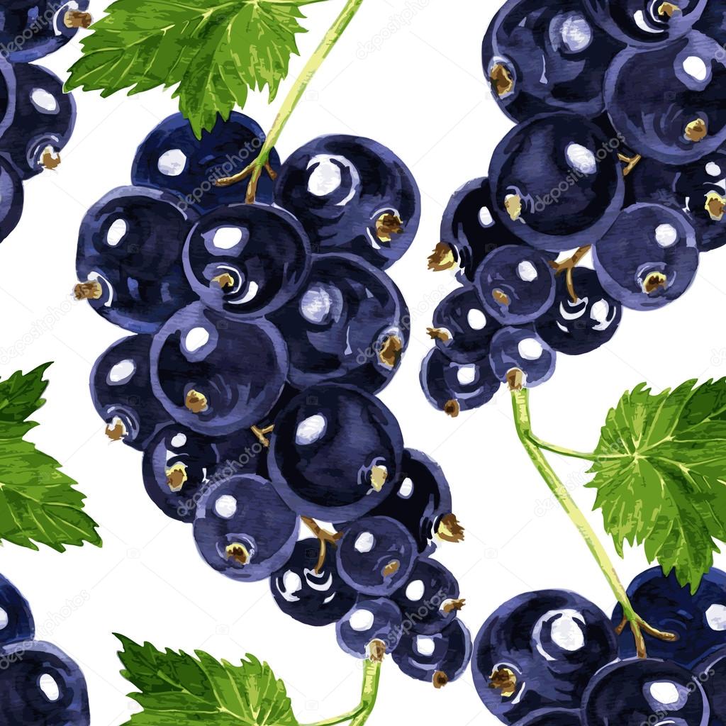 vector seamless pattern with blackcurrant