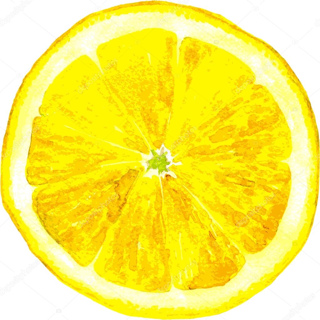 How To Draw A Lemon Slice