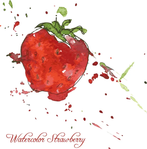 Strawberry drawing by watercolor — Stock Vector