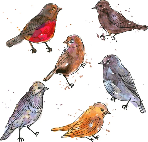 Sada akvarel výkresu ptáků — Stockový vektor
