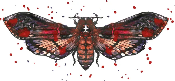 Butterfly dead head in watercolor — Stock Vector