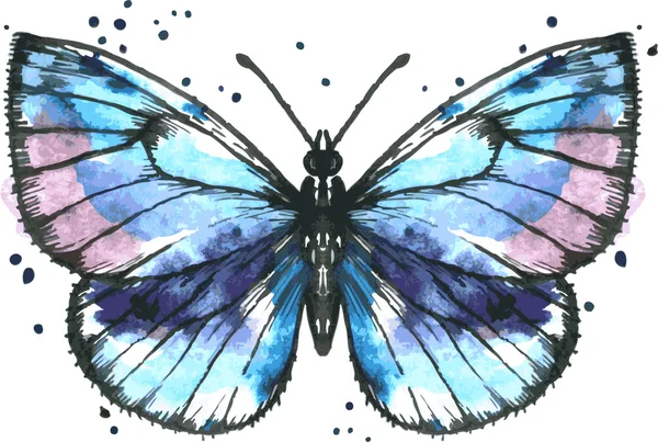 Vector blauwe vlinder in aquarel — Stockvector