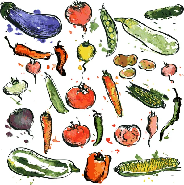 ชุดภาพวาดผัก — ภาพเวกเตอร์สต็อก