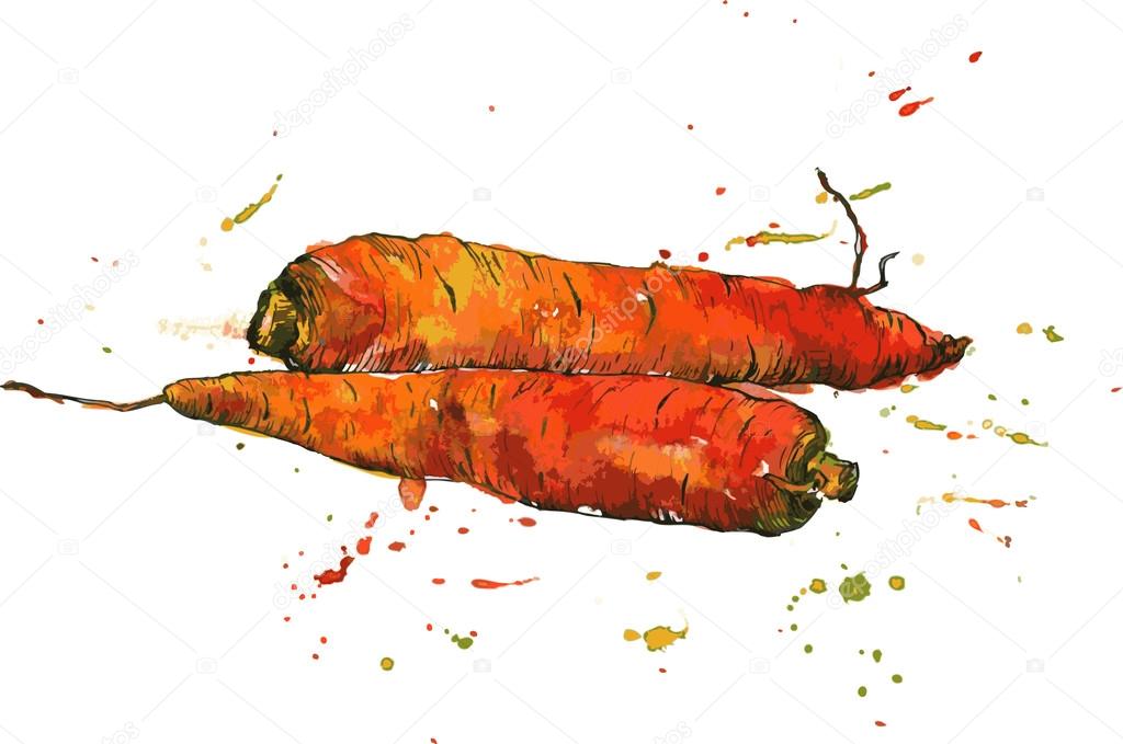 Hand drawn carrots