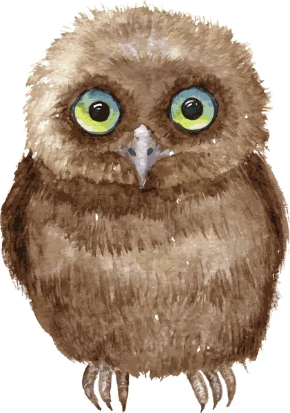 Little owl ritning av akvarell — Stock vektor