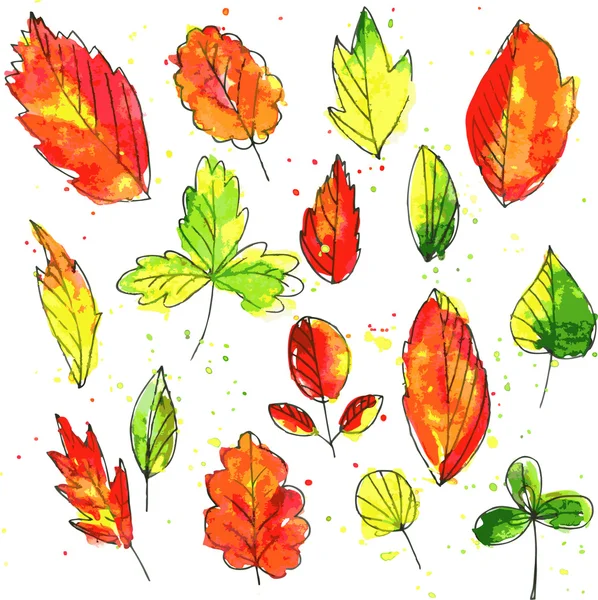 Set of autumn and summer leaves in watercolor — Stock Vector