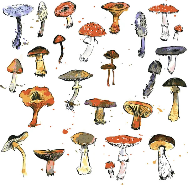 Satz von Aquarell-Zeichnung Pilze — Stockvektor