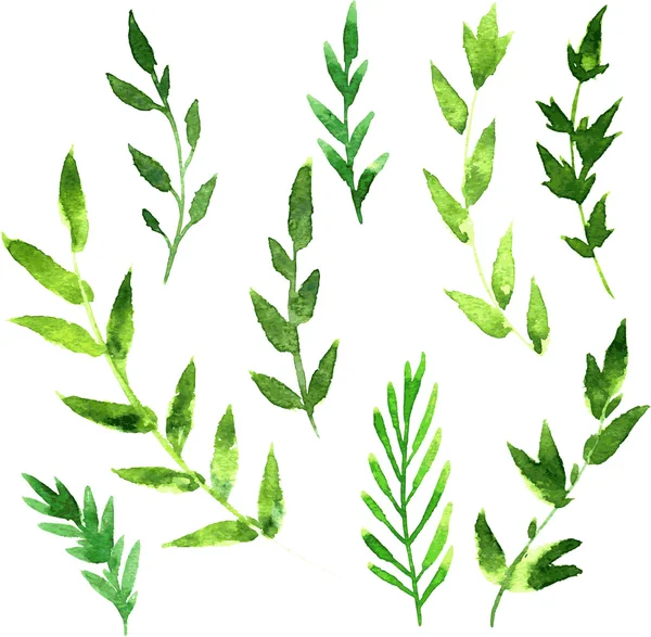 suluboya soyut dallar kümesi