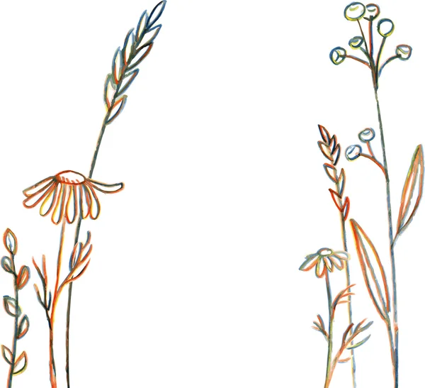Vonalas rajz virág és fű — Stock Vector