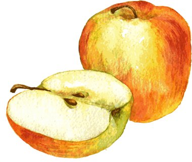 Tüm elmayı ve yarısı tarafından suluboya resim çizme