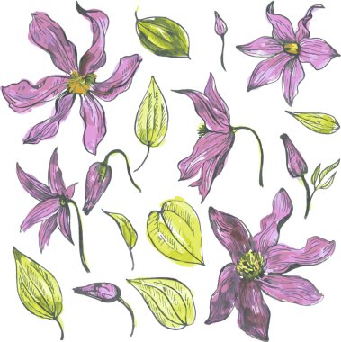 Suluboya vektör çiçek set