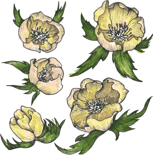 Éléments de design floral vintage — Image vectorielle