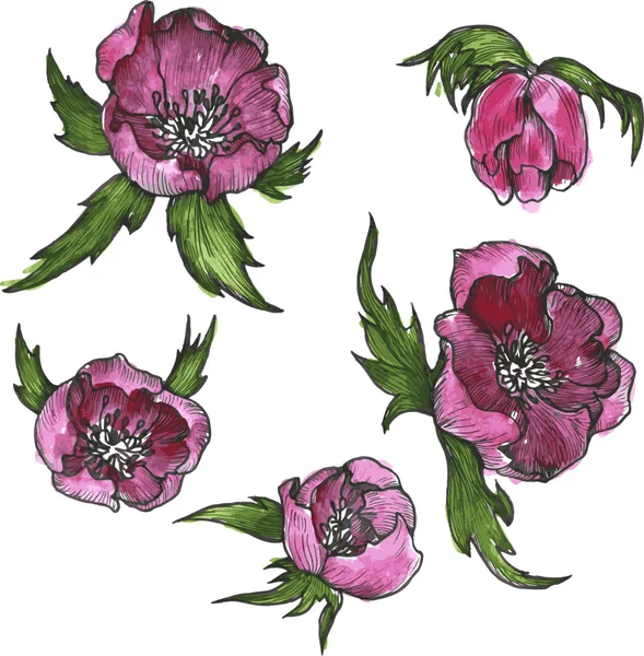 Элементы старинного цветочного дизайна — стоковый вектор