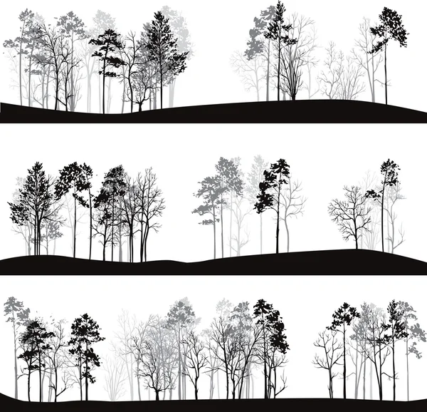 Verschiedene Landschaften mit Kiefern — Stockvektor