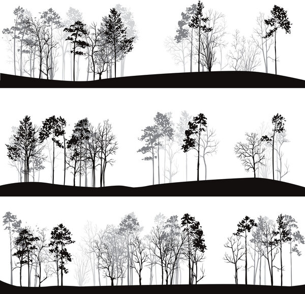 set of different landscapes with pine trees