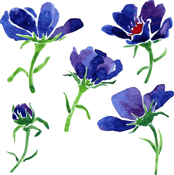 Conjunto de acuarela flores azules — Archivo Imágenes Vectoriales