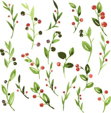 Sulu Boya yeşil dalları meyveleri ile vektör