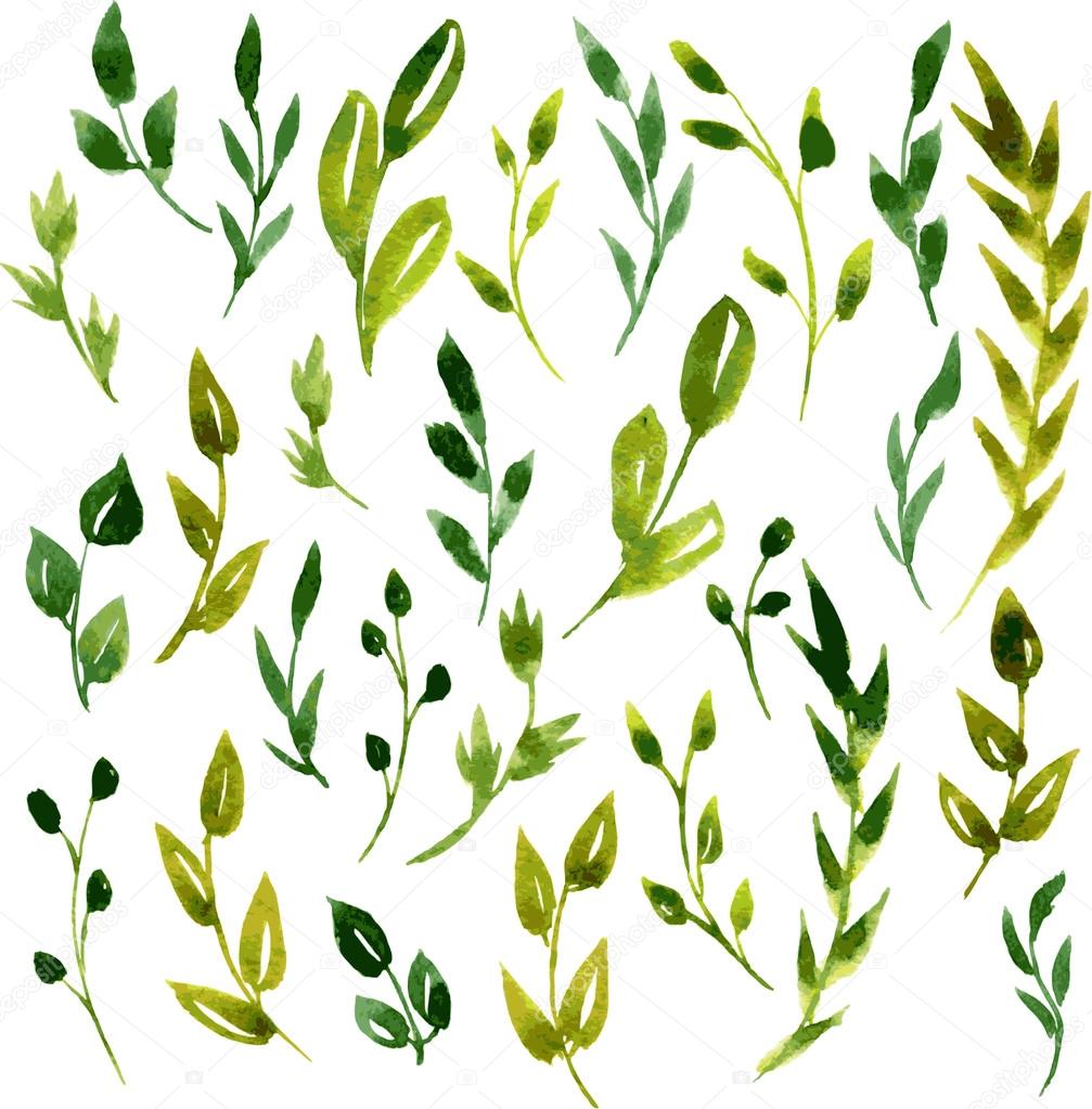 vector watercolor green leaves and branches