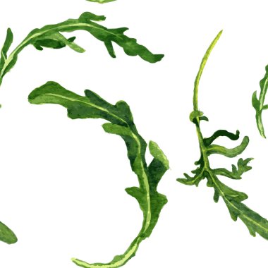 roka yaprakları ile Seamless Modeli