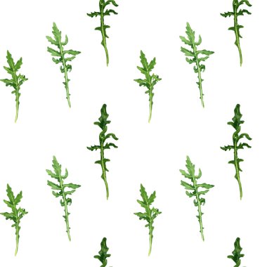 roka yaprakları ile Seamless Modeli