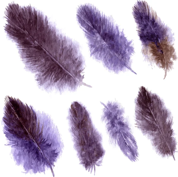 Set of violet plumes — Stock Vector