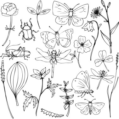 büyük çayır nesneleri kümesi