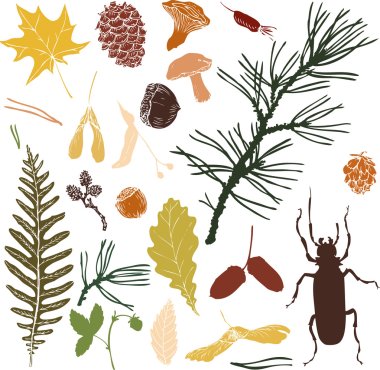 big set of forest objects clipart
