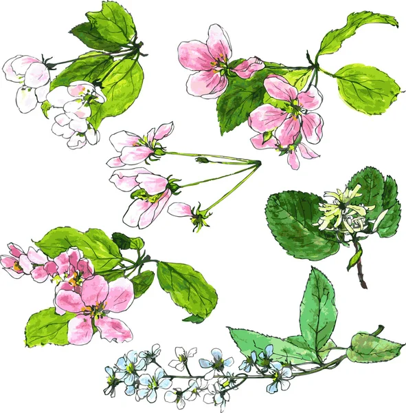 春の木の花のセット — ストックベクタ
