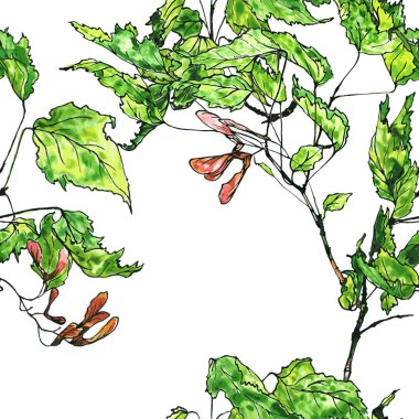 Dikişsiz desen akçaağaç dal