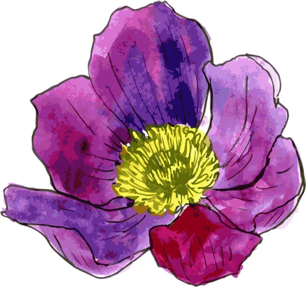 Akvarell, rajz, lila virág — Stock Vector