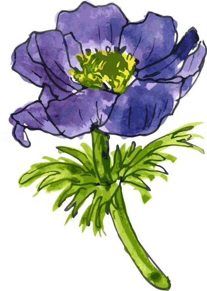 Aquarela desenho azul flor —  Vetores de Stock