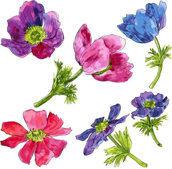 Uppsättning av akvarell ritade blommor — Stock vektor