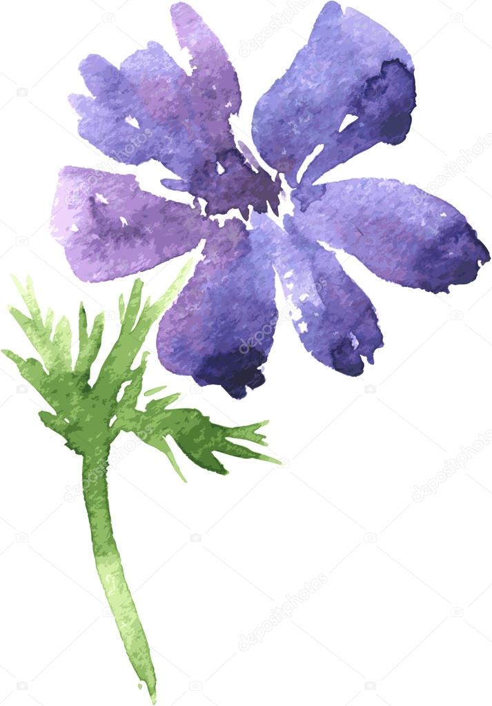 watercolor drawing blue flower