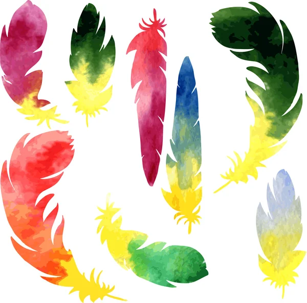 Set of watercolor silhouette feathers — Stock Vector