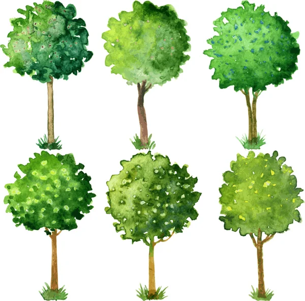 Aquarel bloeiende bomen — Stockvector